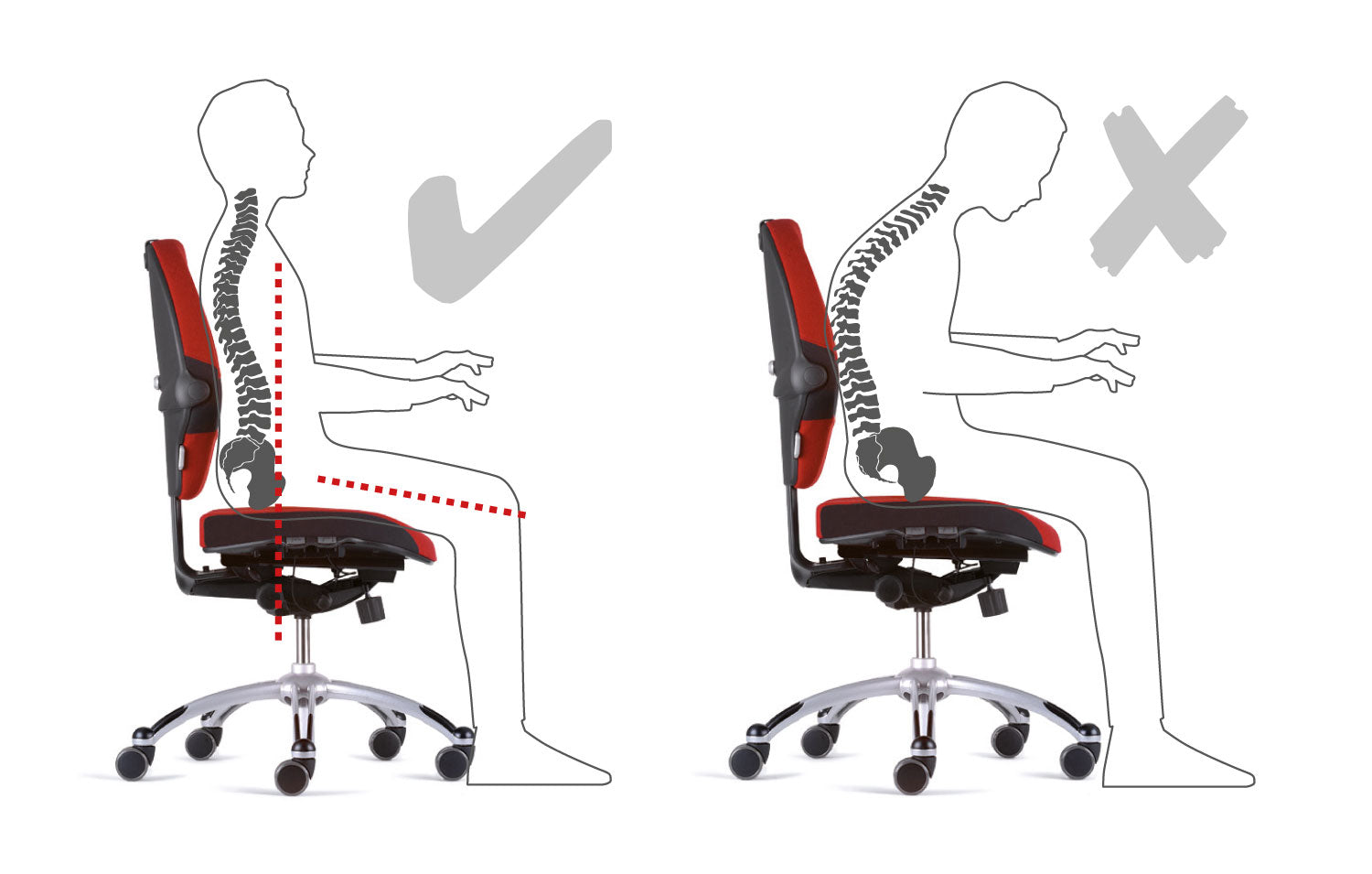 Coussin Lombaire Ergonomique – Soulage ton dos pendant le télétravail